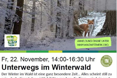 Unterwegs im Winterwald