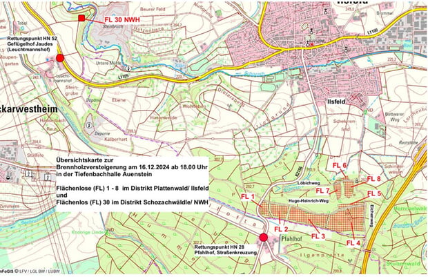 Übersichtskarte Flächenlos Ilsfeld und Neckarwestheim 2024